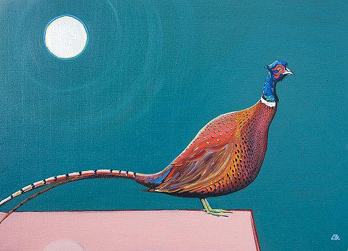 Full Moon Pheasant