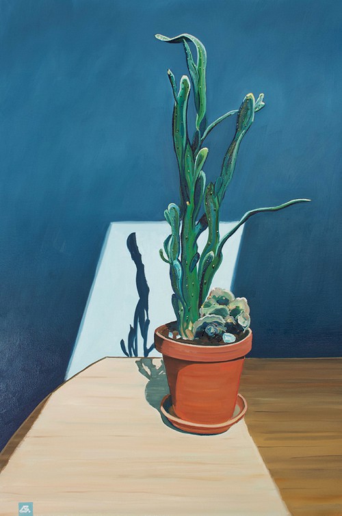 Kitchen Cactus
